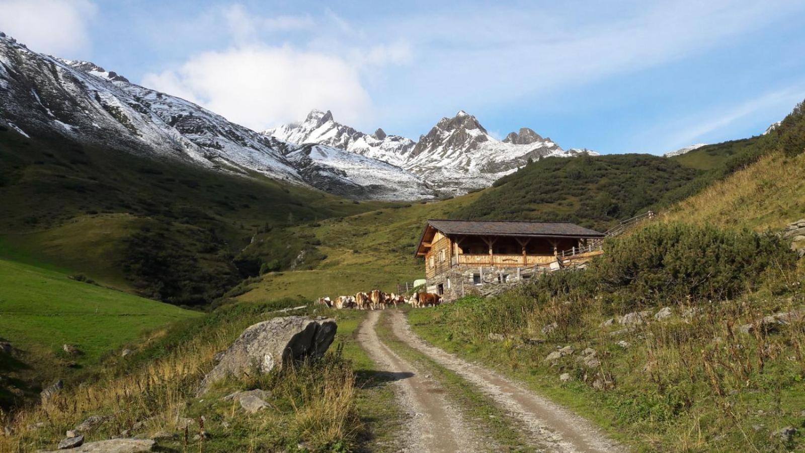 Mooserhof 캄포투레스 외부 사진