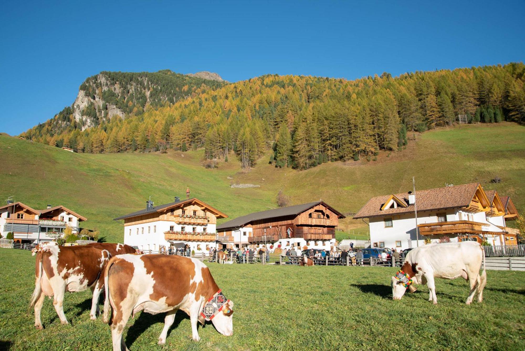 Mooserhof 캄포투레스 외부 사진
